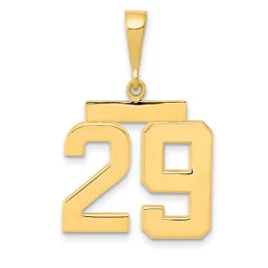 14k Yellow Gold Medium Polished Number 29 Charm