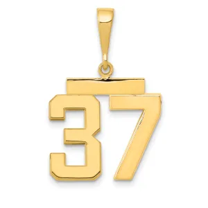 14k Yellow Gold Medium Polished Number 37 Charm