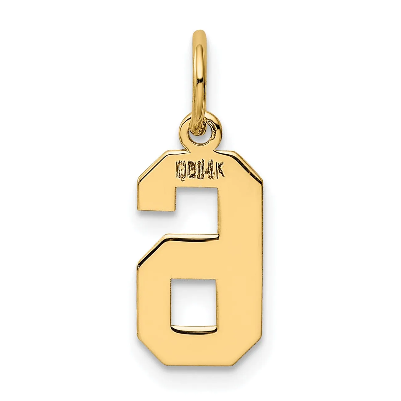 14k Yellow Gold Polished Finish Small Size Number 6 Charm Pendant