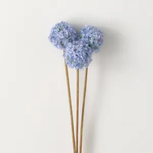 Blue Spring Allium Bunch