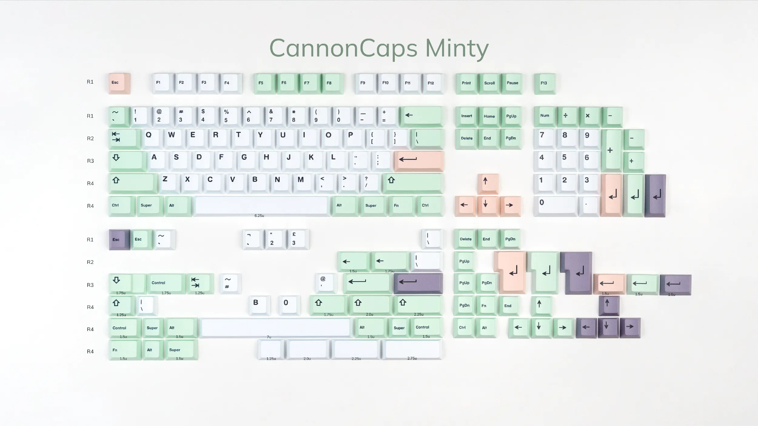 CannonCaps Minty