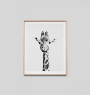 GIRAFFE PORTRAIT · FRAMED PRINT