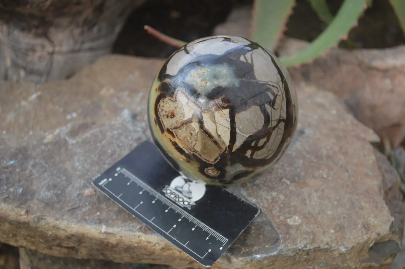 Polished Lazulite & Septaria Spheres  x 2 From Madagascar