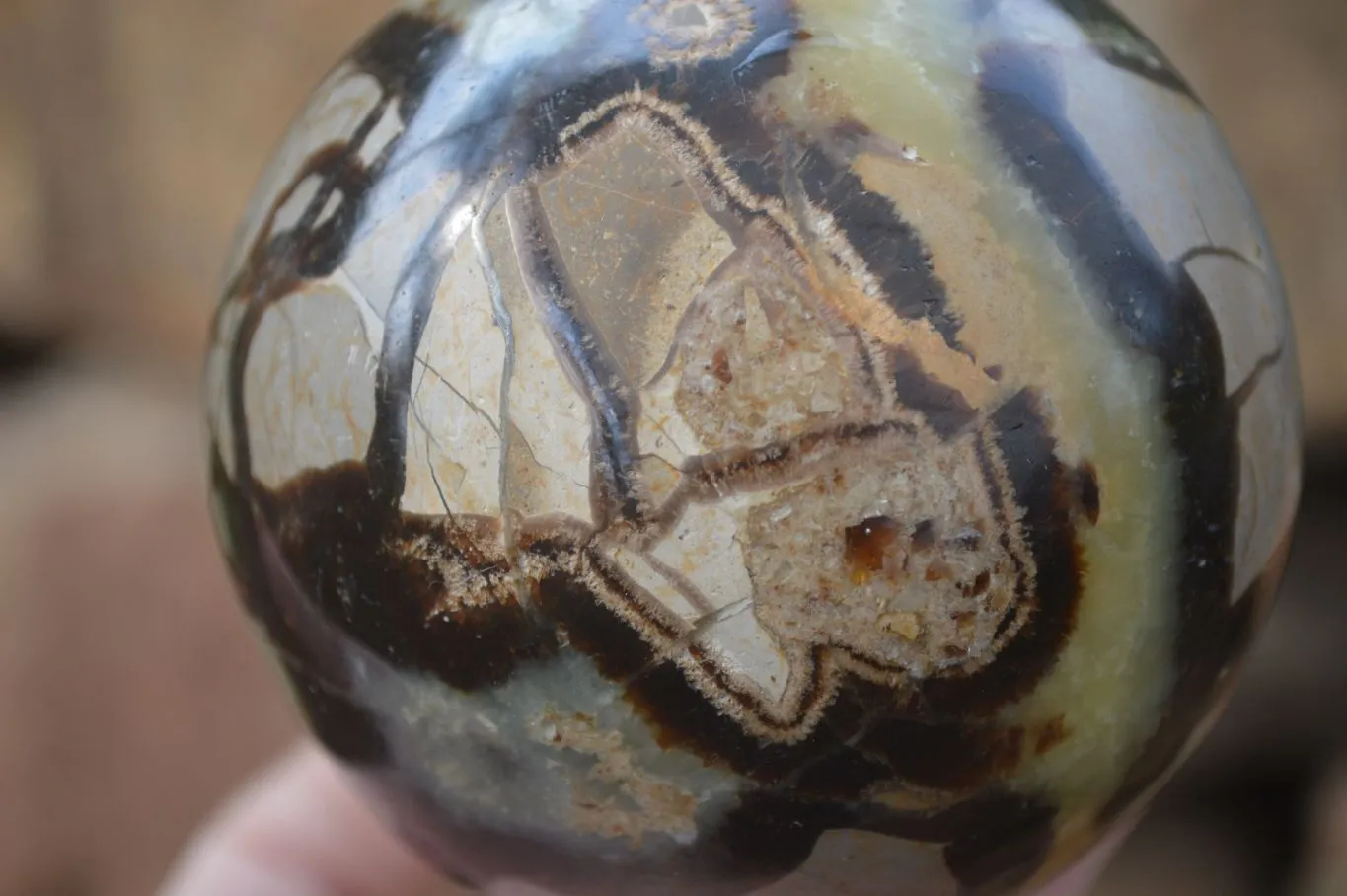 Polished Lazulite & Septaria Spheres  x 2 From Madagascar