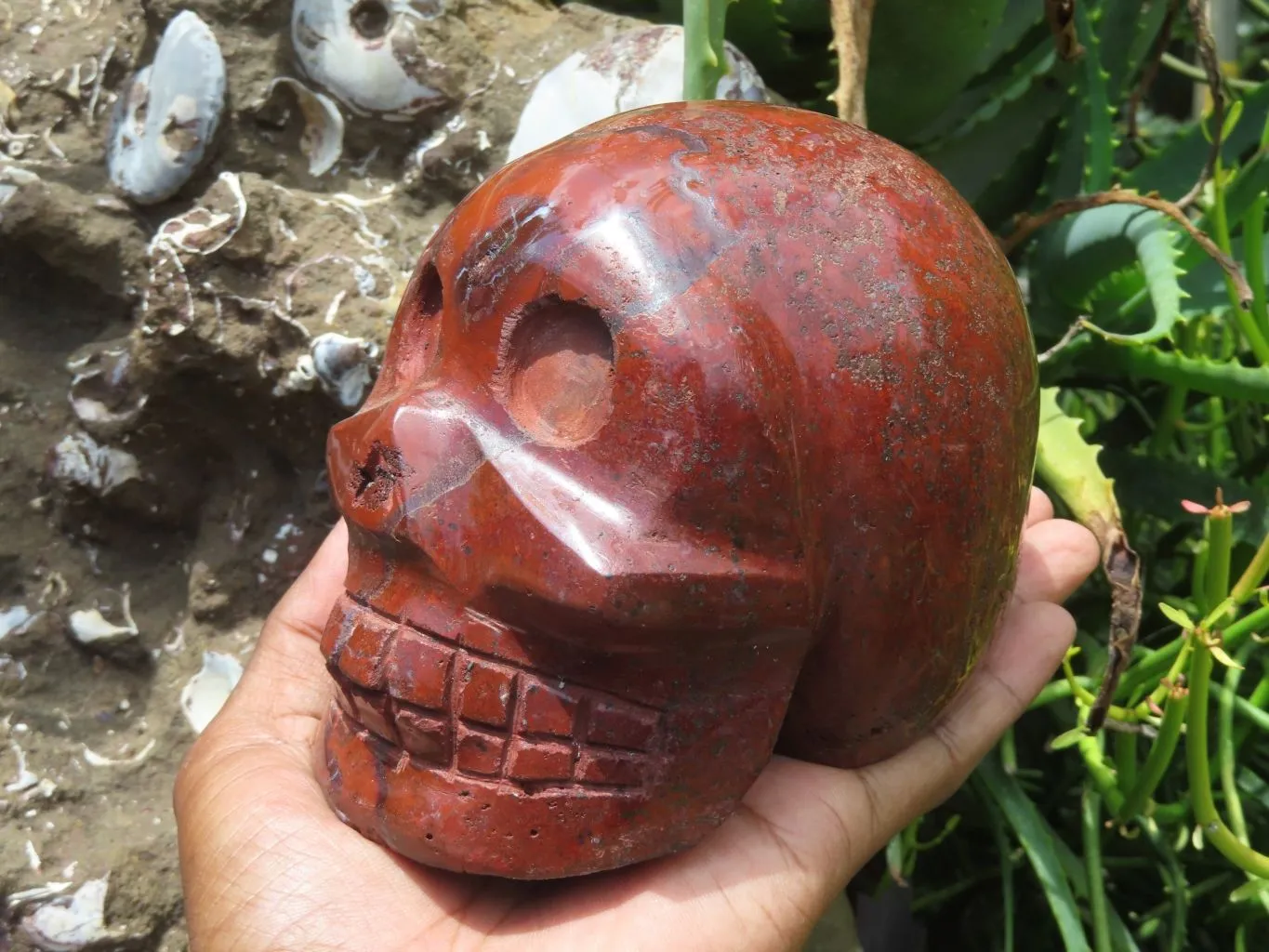 Polished Red Jasper Extra Large Skull Carving x 1 From Madagascar