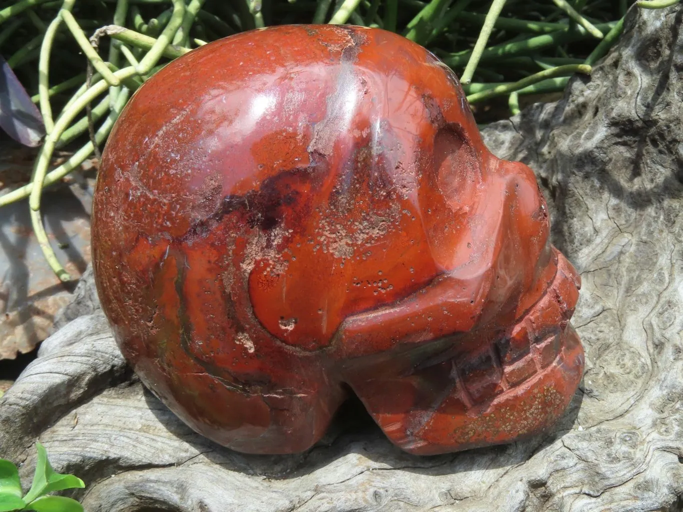 Polished Red Jasper Extra Large Skull Carving x 1 From Madagascar