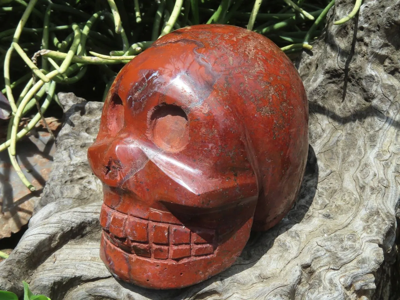 Polished Red Jasper Extra Large Skull Carving x 1 From Madagascar