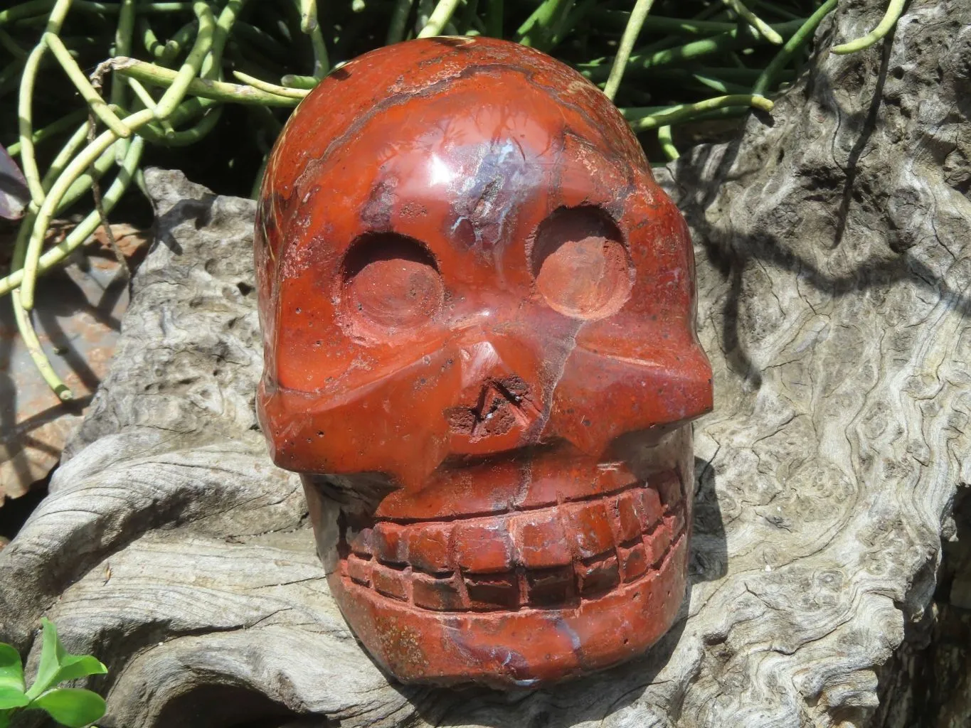 Polished Red Jasper Extra Large Skull Carving x 1 From Madagascar