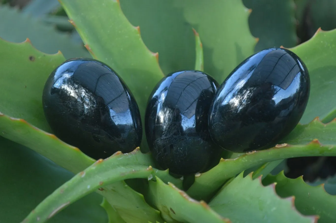 Polished Schorl Black Tourmaline Galet / Palm Stones x 14 From Madagascar