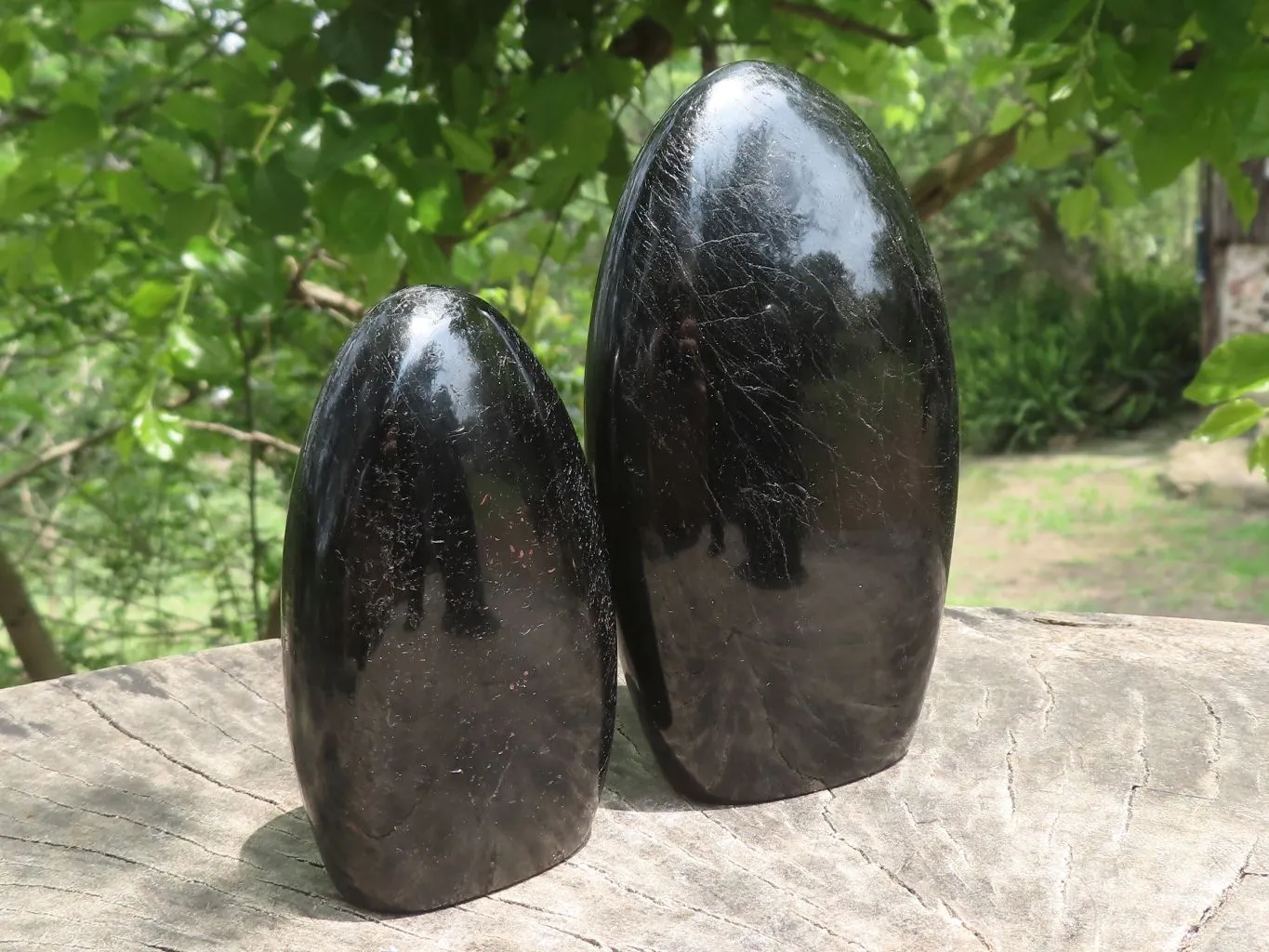 Polished Schorl Black Tourmaline Standing Free Forms x 4 From Madagascar