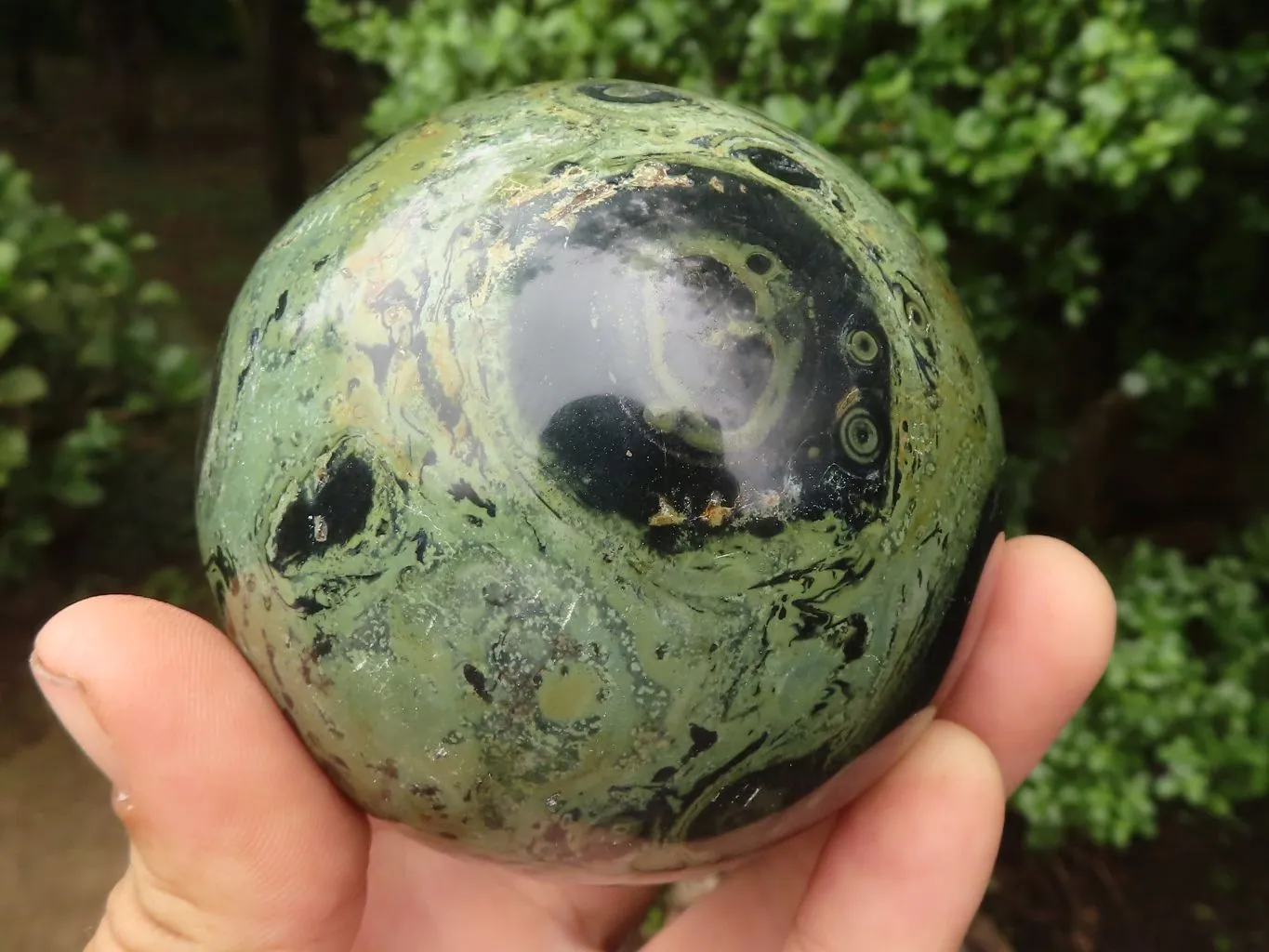 Polished Stromatolite / Kambamba Jasper Spheres  x 2 From Madagascar