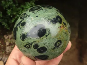 Polished Stromatolite / Kambamba Jasper Spheres  x 2 From Madagascar