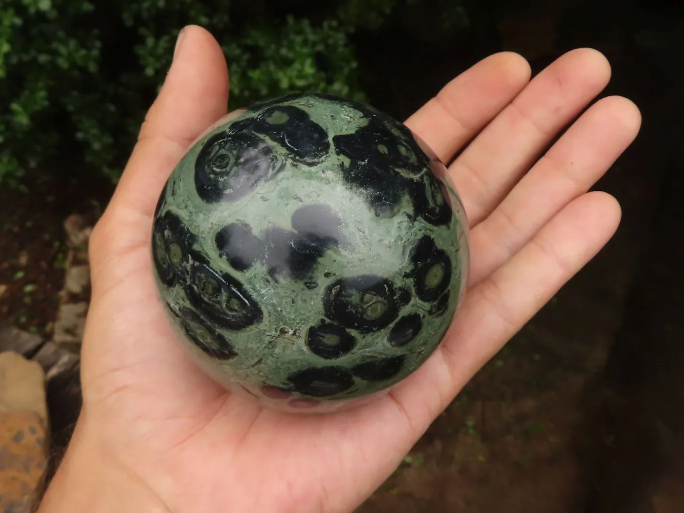 Polished Stromatolite / Kambamba Jasper Spheres  x 2 From Madagascar