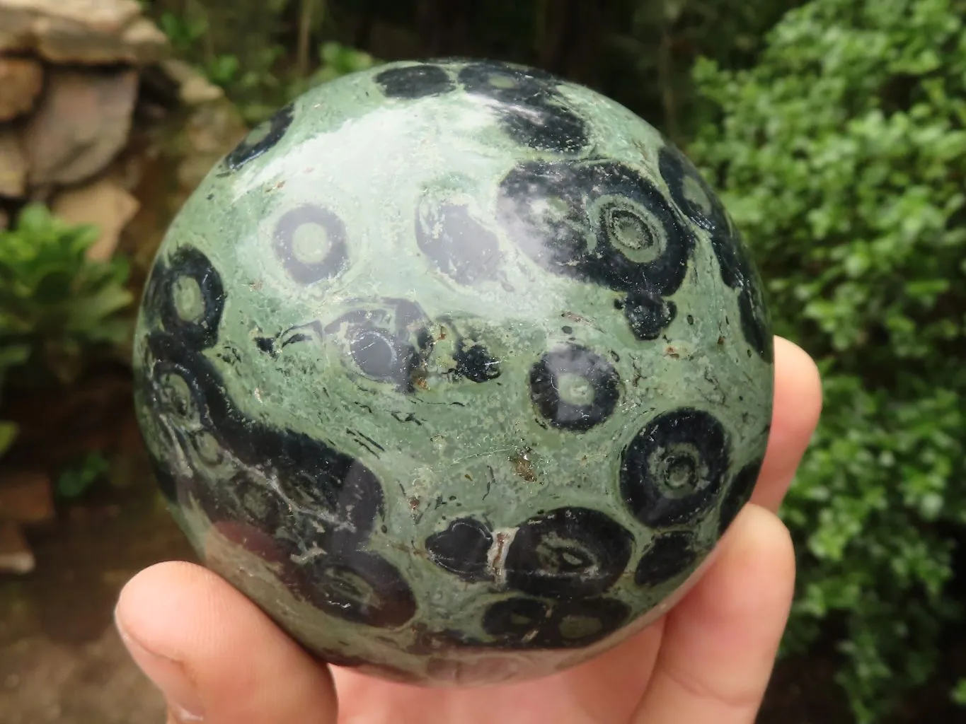 Polished Stromatolite / Kambamba Jasper Spheres  x 2 From Madagascar