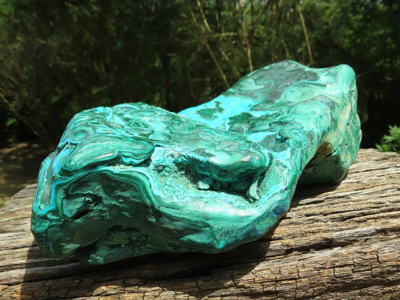 Polished XL Botryoidal Malacholla Display Specimen x 1 From Lupoto, Congo