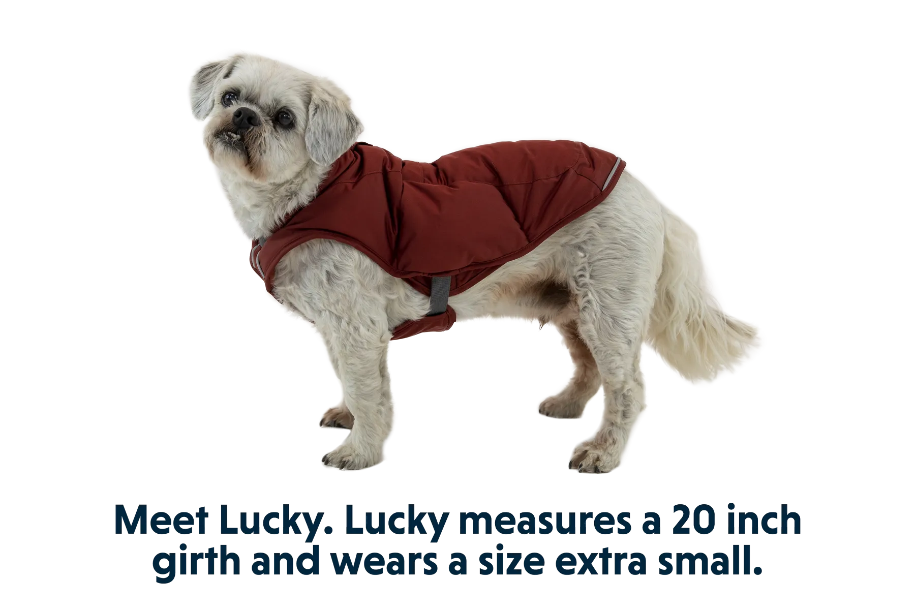 Quinzee™ Dog Puffer Jacket